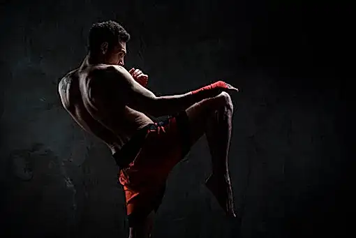 Kick Boks